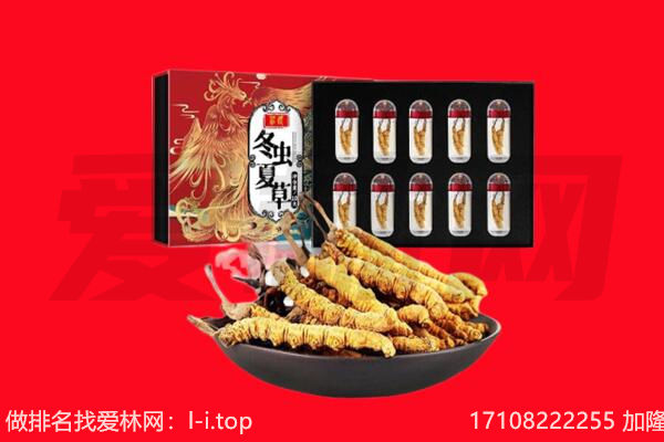 同德县回收虫草.jpg